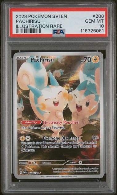 PSA 10 - Scarlet & Violet Base - Pachirisu #208